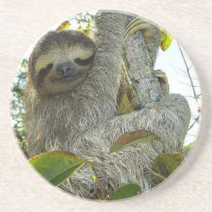 Sloth Underlägg