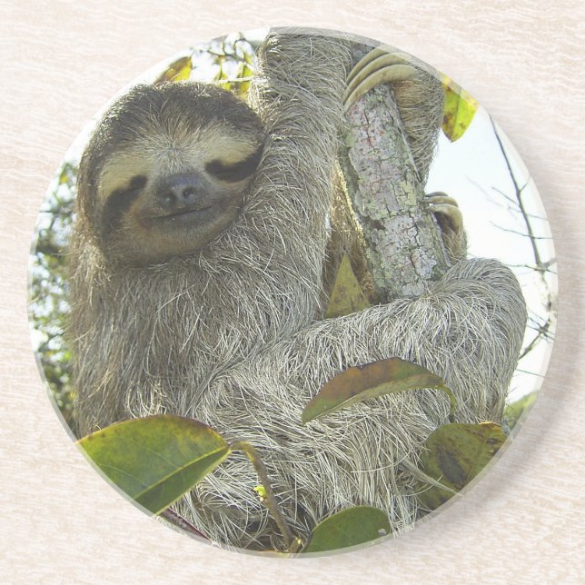 Sloth Underlägg (Framsidan)