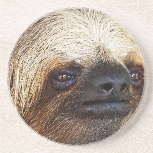 Sloth Underlägg (Framsidan)
