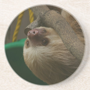 Sloth Underlägg Sandsten