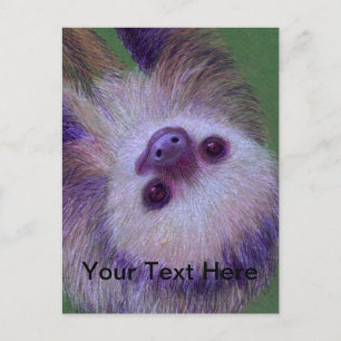 Sloth Vykort