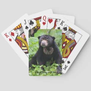 Slothbjörn som leker kort casinokort