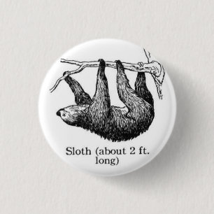 Slothen knäppas knapp