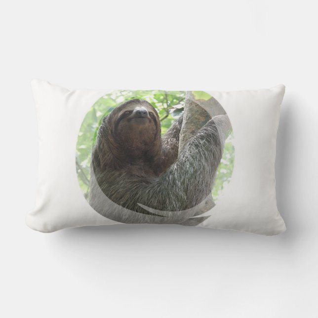 Slothfotodesignen kudder lumbarkudde (Framsida)