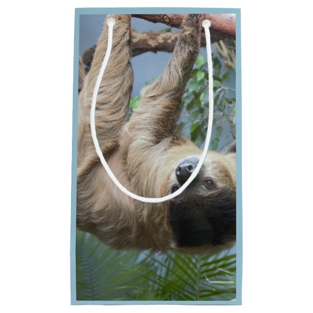 Slothfotogåvan hänger lös (Framsidan)