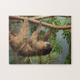 Slothfotopussel Pussel