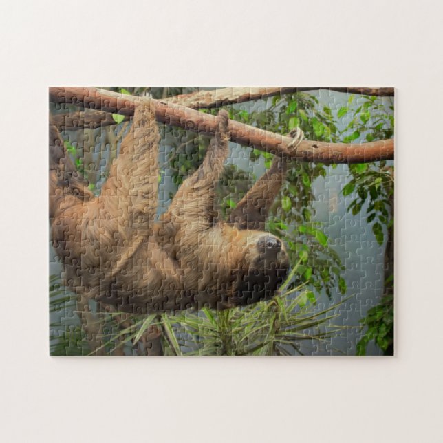 Slothfotopussel Pussel (Horisontell)