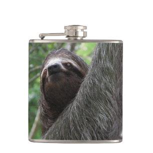 Slothklättringträd Fickplunta