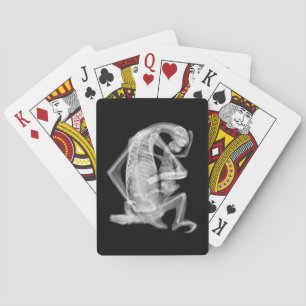 Slothröntgenstrålekärlek Casinokort