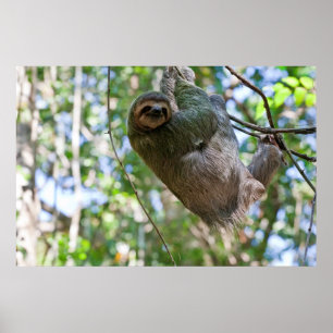 Slothtryck Poster
