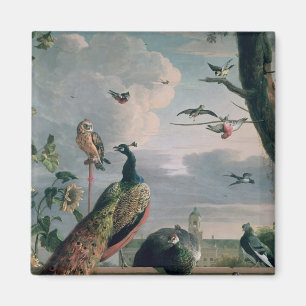 Slott av Amsterdam med exotiska fåglar Magnet