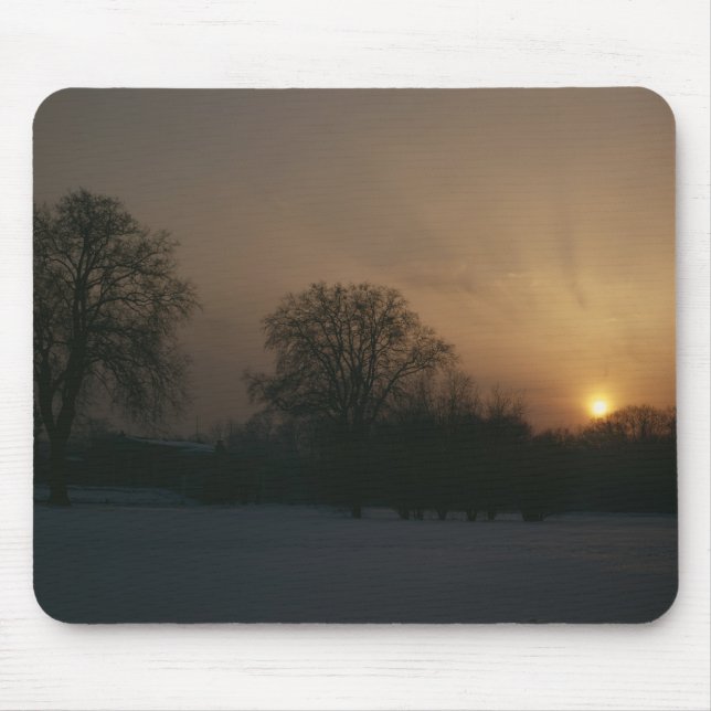 Slott Charlottenhof, solnedgång Musmatta (Framsidan)