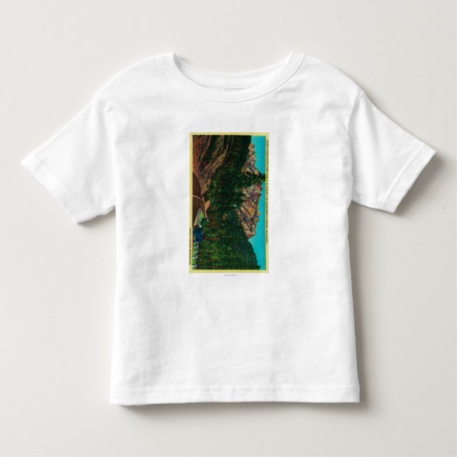 SlottCragsdelstatspark från US 99 Tee Shirt (Framsida)
