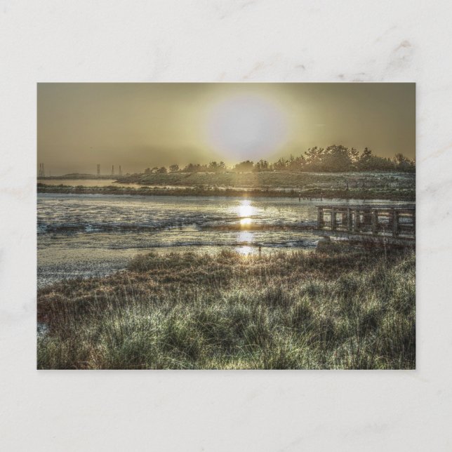 Slough at Dawn Postcard Vykort (Framsida)