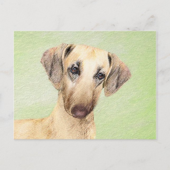 Sloughis Painting - Cute Original Hund Art Vykort (Framsida)