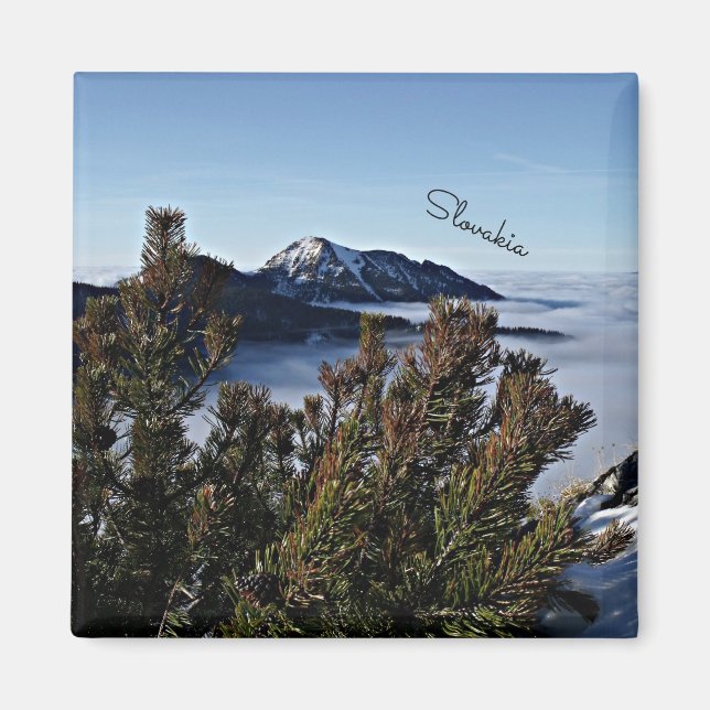 Slovakien i Winter Magnet (Framsidan)