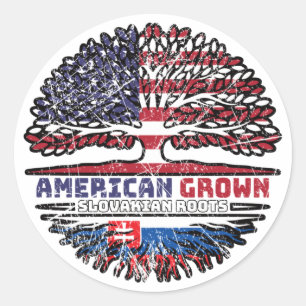 Slovakiens amerikanska amerikanska amerikanska USA Runt Klistermärke