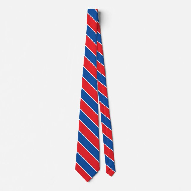 Slovakiens Flagga Elegant Patriotic Neck Tie Slips (Framsida)