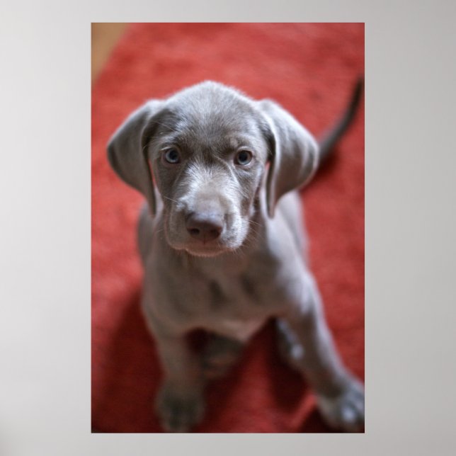 Slovakisk högstyrd dekorpekare 2 poster (Framsidan)