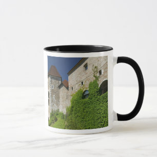 SLOVENIA, Ljubljana: Slottbacken / Ljubljana Mugg