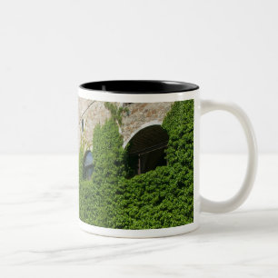 SLOVENIA, Ljubljana: Slottbacken / Ljubljana Två-Tonad Mugg