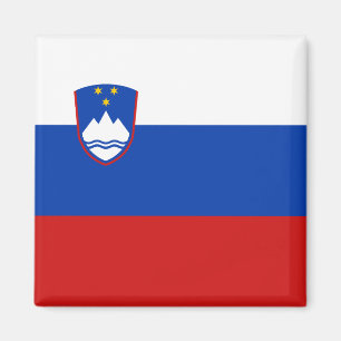 Slovenien flaggamagnet magnet
