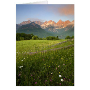 Slovenien Meadow Hälsningskort