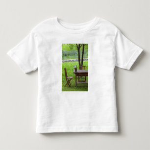 SLOVENIEN, PRIMORSKA, Spodnja Idrija: Bord på Tee Shirt