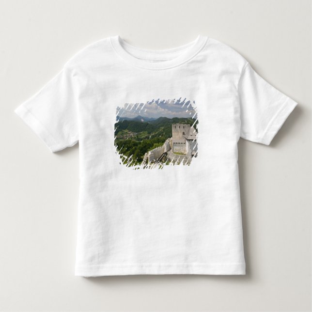 SLOVENIEN, STAJERSKA Styria), Celje: Delvy T-shirt (Framsida)