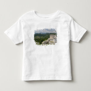 SLOVENIEN, STAJERSKA (Styria), Celje: Stadsvy T-shirt