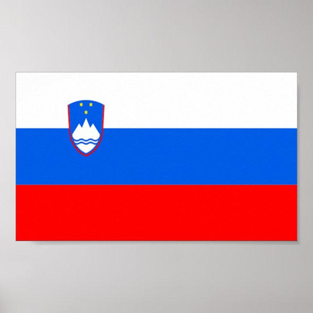 Sloveniens flagga poster (Framsidan)