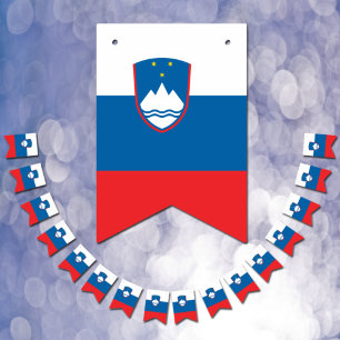 Slovenska Flagga och Party Slovenien-banderoller/B