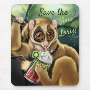 Slow Loris Smoothie Musmatta