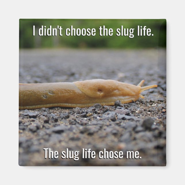 Slug Life Magnet (Framsidan)