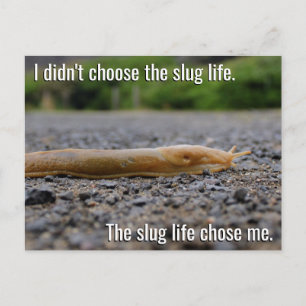 Slug Life-vykort Vykort