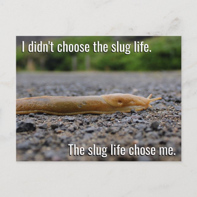 Slug Life-vykort Vykort (Framsida)