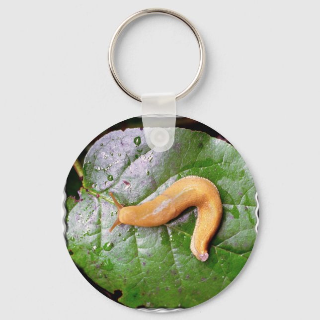 Slug på nyckelkedjan Löv Nyckelring (Framsida)