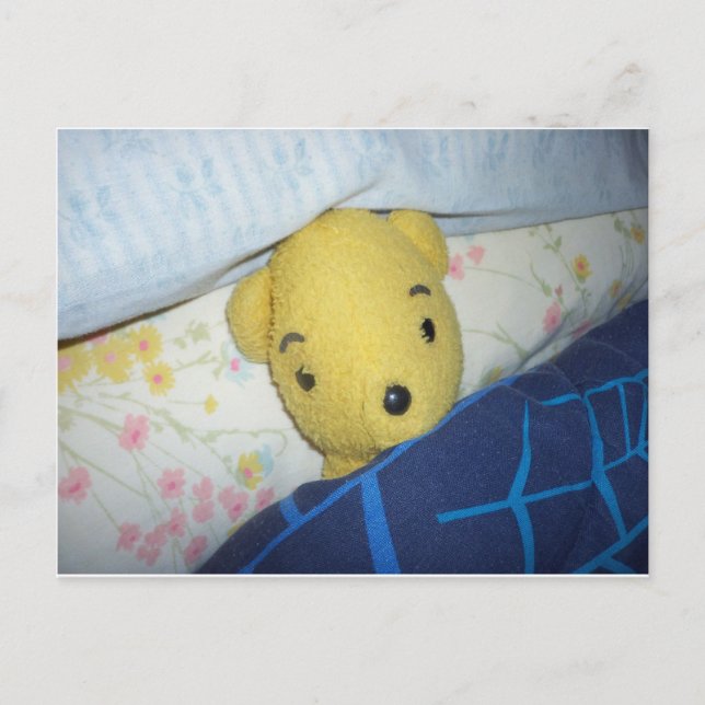 Slumationerande Teddy Vykort (Framsida)