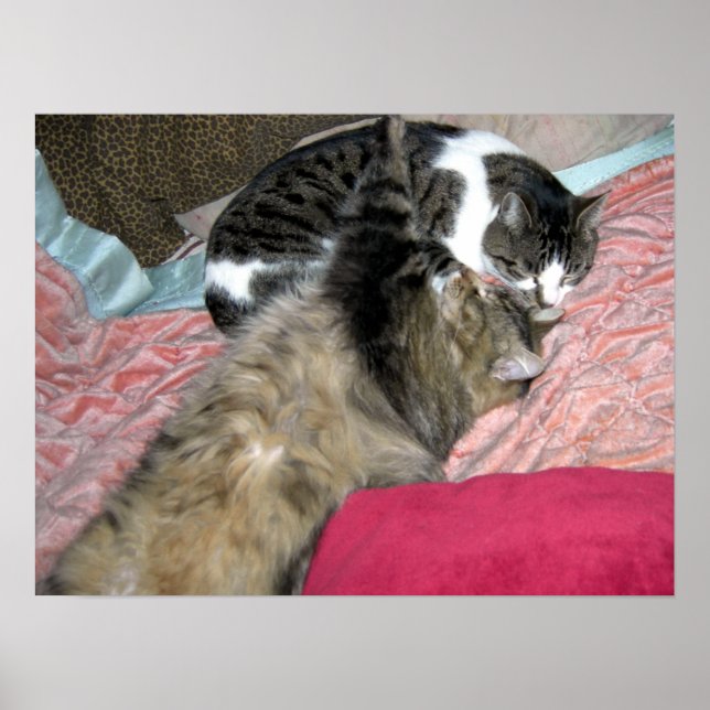 Slumber Buddies Poster (Framsidan)