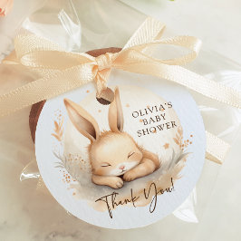 Slumber Bunny Boys Baby Shower Favor Gåvor Etiketter