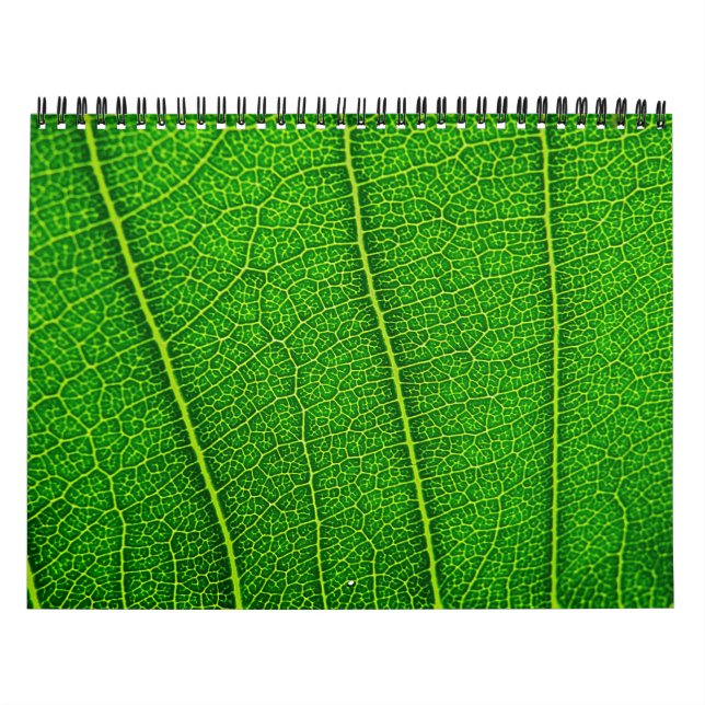 Slumpmässig naturkalender kalender (Omslag)
