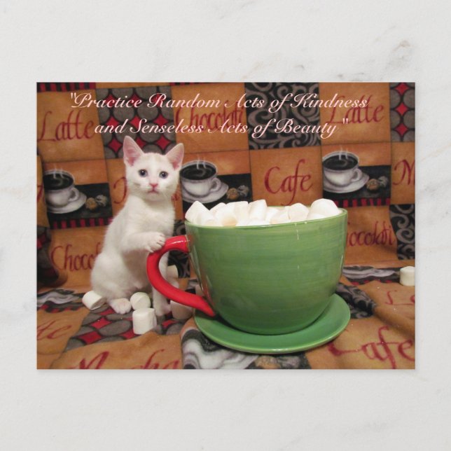 Slumpmässiga handlingar av Kindness Postcard - Aud Vykort (Framsida)