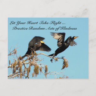 Slumpmässiga handlingar av Kindness Postcard- Bird Vykort