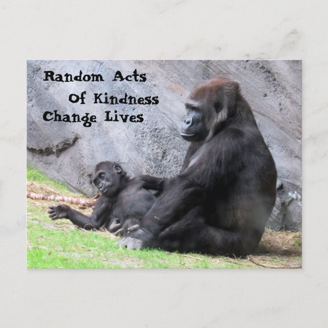 Slumpmässiga handlingar av Kindness Postcard - Gor Vykort (Framsida)