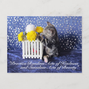 Slumpmässiga handlingar av Kindness Postcard- Lilo Vykort