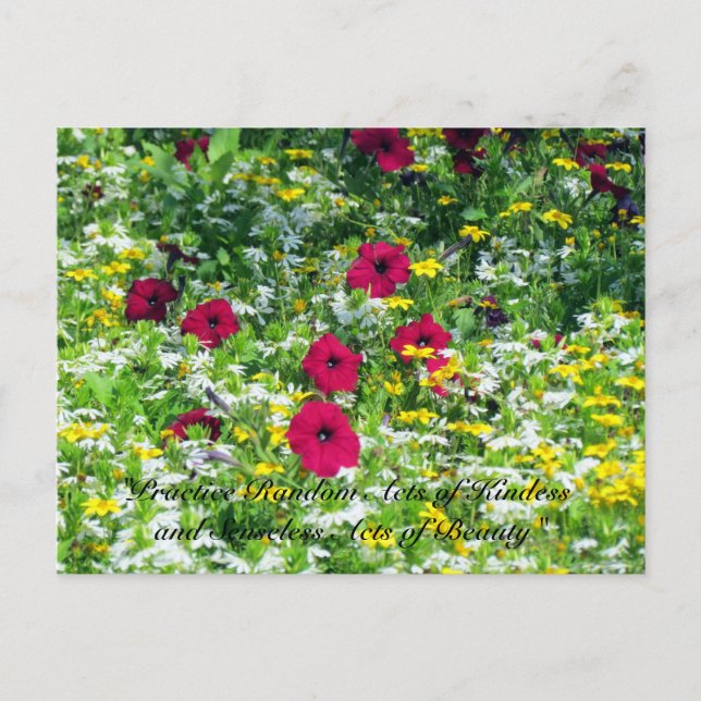 Slumpmässiga handlingar av Kindness Postcard - Wil Vykort (Framsida)