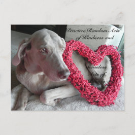 Slumpmässiga handlingar av Kindness-vykort - Smärt Vykort