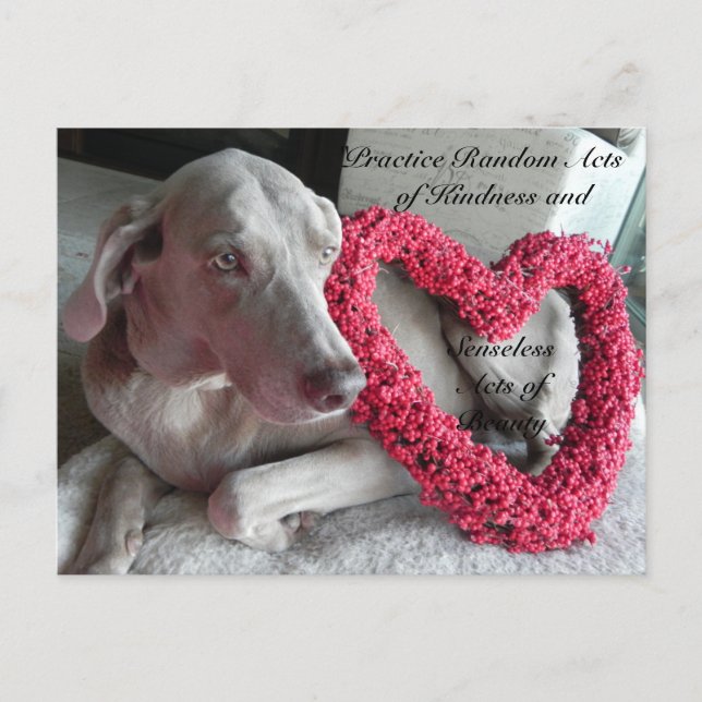 Slumpmässiga handlingar av Kindness-vykort - Smärt Vykort (Framsida)