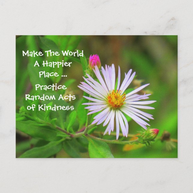 Slumpmässiga handlingar av skindness Postcard (Wil Vykort (Framsida)