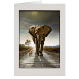 Slumpmässiga tankar OBS kort